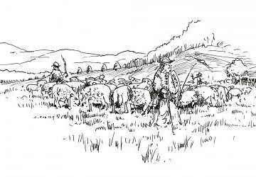 Podstarości czorsztyński napada na juhasów przysietnickich 18 czerwca 1603 roku